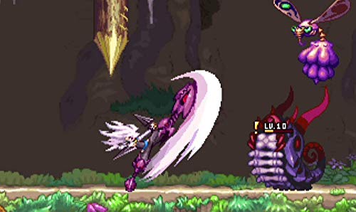 Amazon.com: Dragon Marked for Death (Nintendo Switch) : Video Games